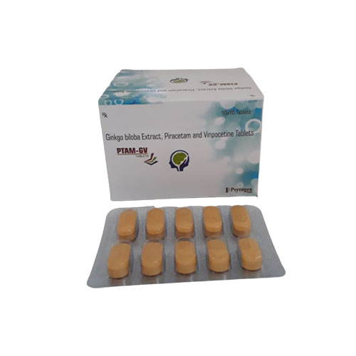 ginkgo biloba extract piracetam and vinpocetine tablets