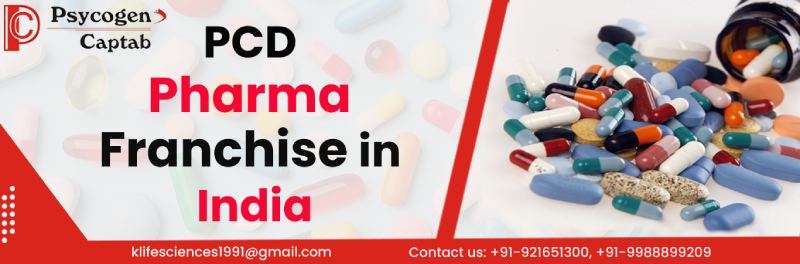 Best PCD Pharma Franchise Business in India